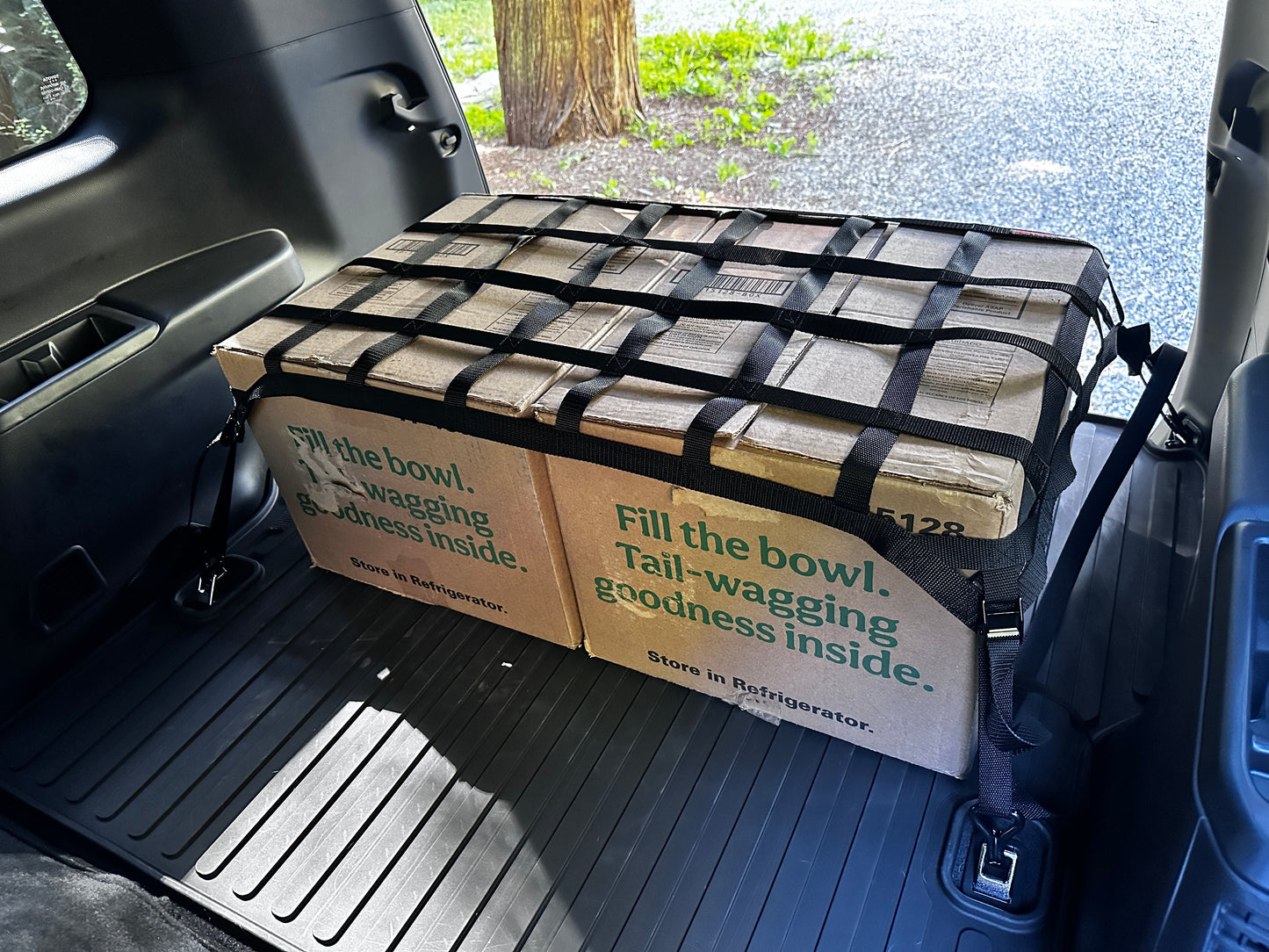 2024 - Newer Lexus GX550 Cargo Area Net-Raingler