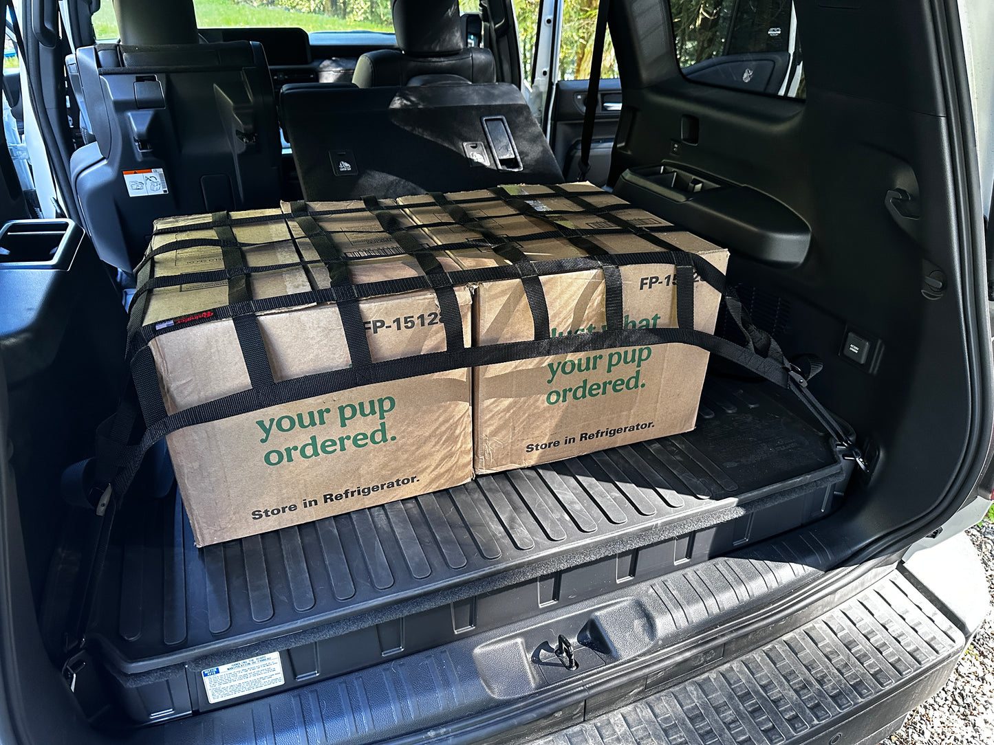 2024 - Newer Lexus GX550 Cargo Area Net-Raingler