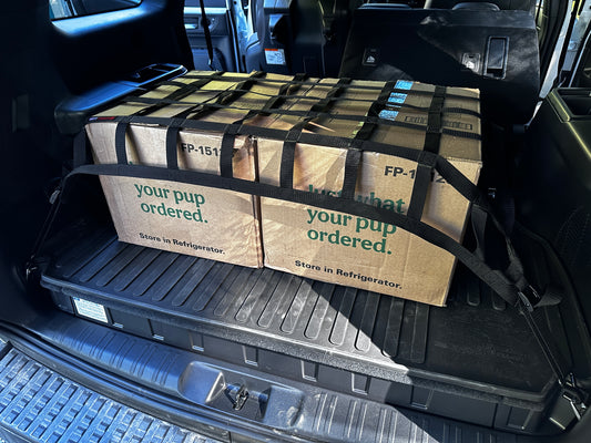 2024 - Newer Lexus GX550 Cargo Area Net-Raingler